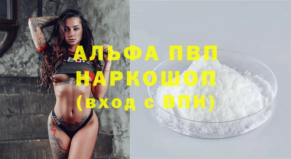 гидра Пестово