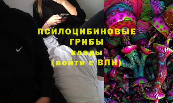 ALPHA PVP Алексеевка