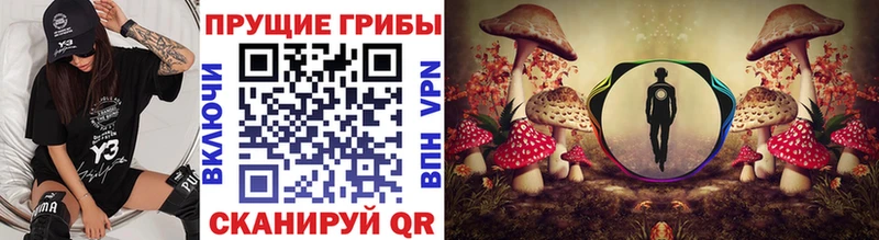 закладки сайты даркнета Telegram гидра как зайти Псилоцибиновые грибы MAGIC MUSHROOMS Жирновск